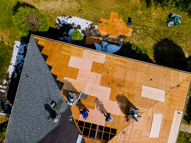 Best Flat Roof Repair Services  in Hendron, KY