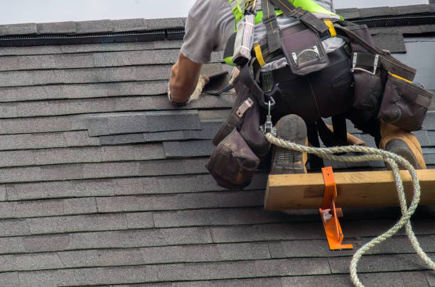 Best Roof Gutter Cleaning  in Hendron, KY